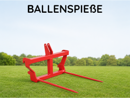 Ballenspieße