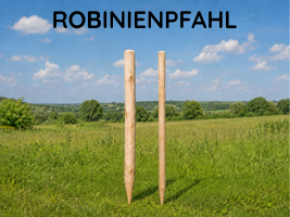 Robinienpfahl