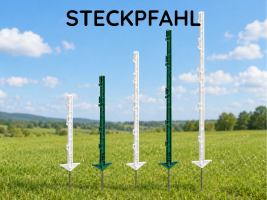 Kunststoff Steckpfahl