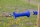 Torgriff Premium, blau