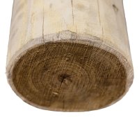 Robinienpfahl rund 10/12 250 cm Kurvenpfosten