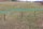 T-Post / T-Pfahl 1,52 m Metallpfahl