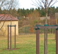 Grau -  6cm x  175cm Rundpfosten mit Spitze 3000090