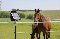 Weidezaun Gerät S6 Solar