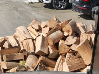 33cm Brennholz - frisch