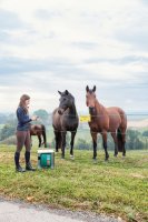 Duo Power X 6000 smart