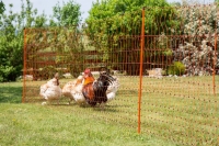 Geflügelnetz 50 mtr., 106 cm
