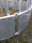 M11/12 - Rundraufe mit 12 Fressplätzen - 186kg schwere Ausführung
