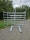 Panel Transportgestell - Palettengabel