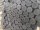 Recyclingpfosten 10 x 230 cm - anthrazit