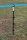 T-Post / T-Pfahl 2,40 m Metallpfahl