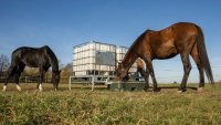 MP 1000 Tränkebeckenhalterung mit Trog für einen IBC 1000 Liter
