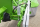 Trommelmähwerk ECO CUT 1,65m mit Hydraulik