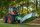 Trommelmähwerk ECO CUT 1,85