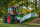 Trommelmähwerk ECO CUT 1,85