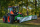 Trommelmähwerk ECO CUT 1,85